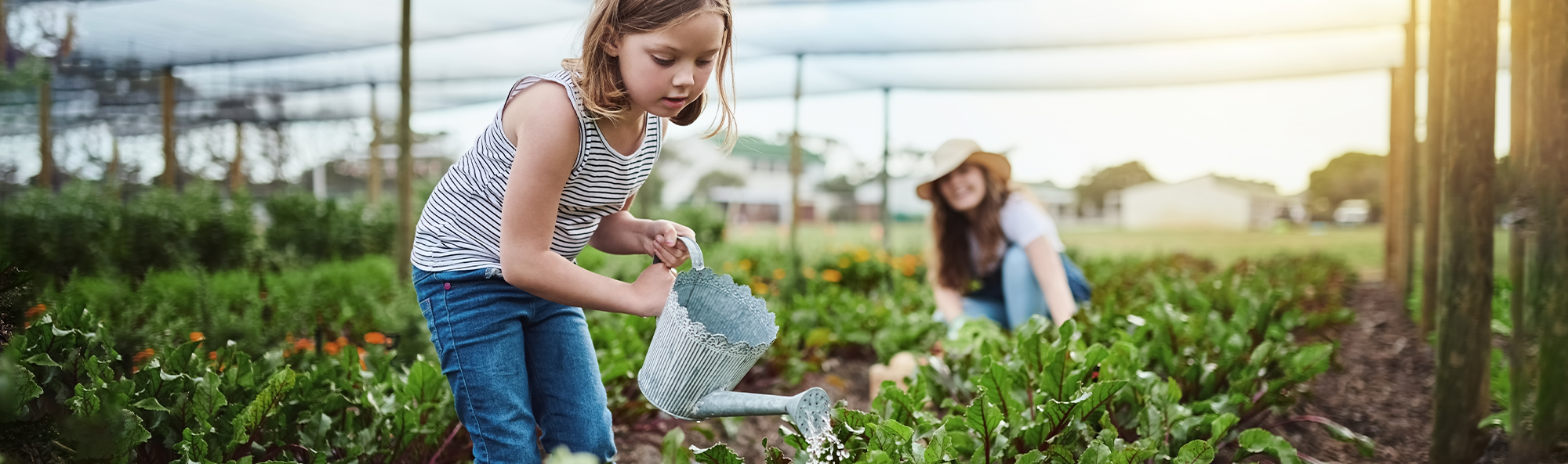 Girl watering plantation