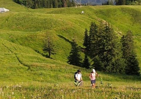 two people walking in a grass field